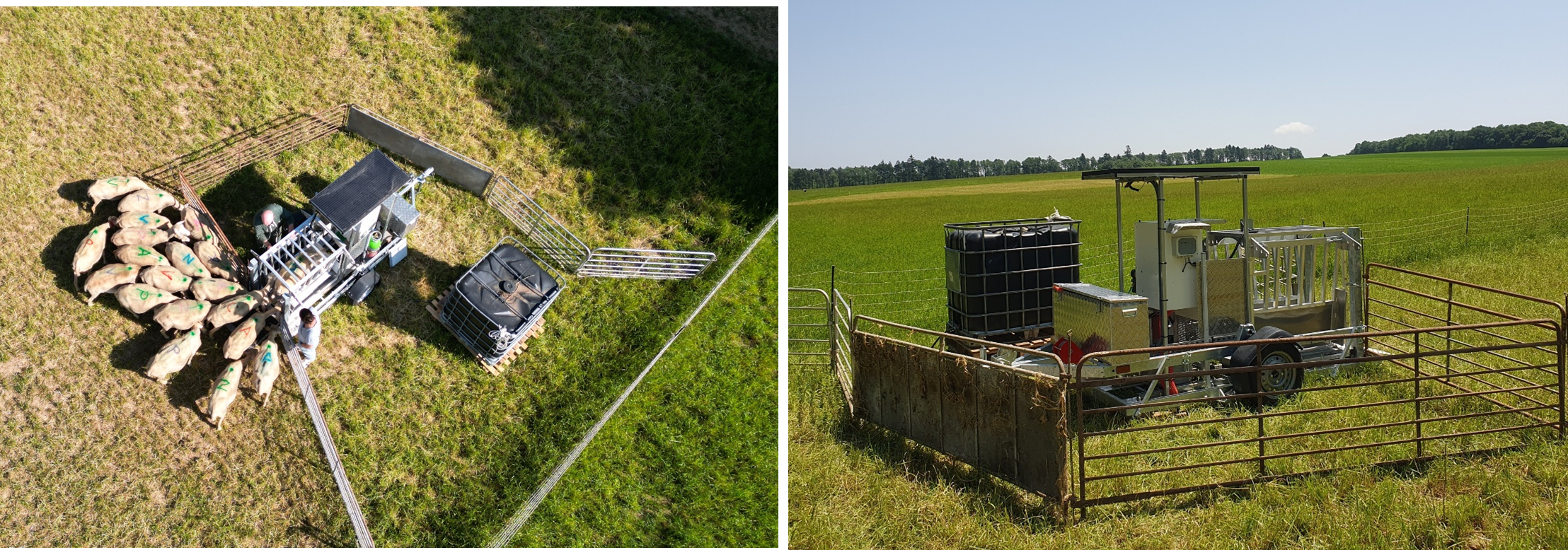 Automatic water dispenser suitable for pasture use.